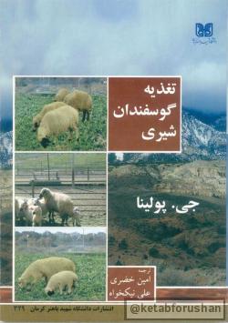 تغذیه گوسفندان شیری